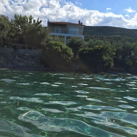 Villas Nies Szúrpi Kültér fotó